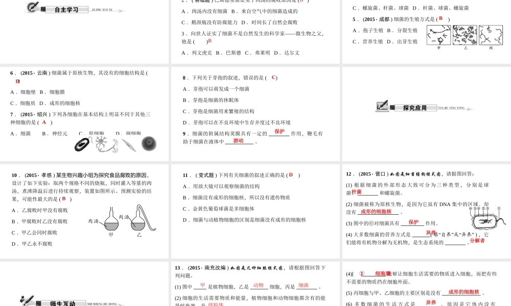 八年级生物上册 第五单元 第四章 第二节 细菌习题课件 （新版）新人教版-（新版）新人教版初中八年级上册生物课件