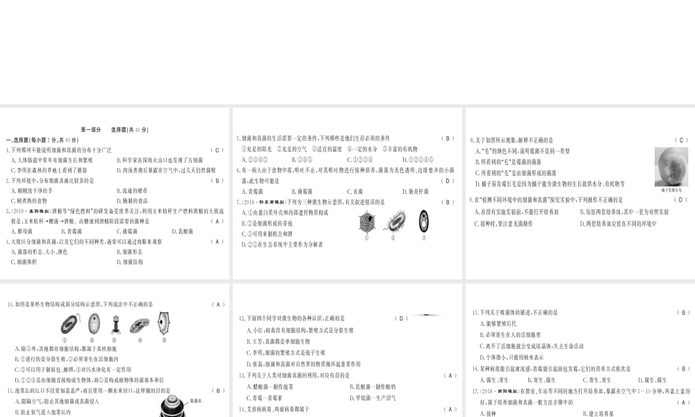 八年级生物上册 第五单元 第四、五章测评卷习题课件 （新版）新人教版-（新版）新人教版初中八年级上册生物课件