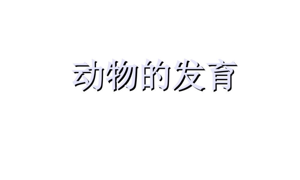 八年级生物上册《动物的发育》课件2 苏科版