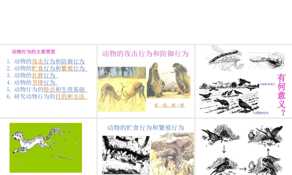 八年级生物上册《动物的行为》课件 苏教版
