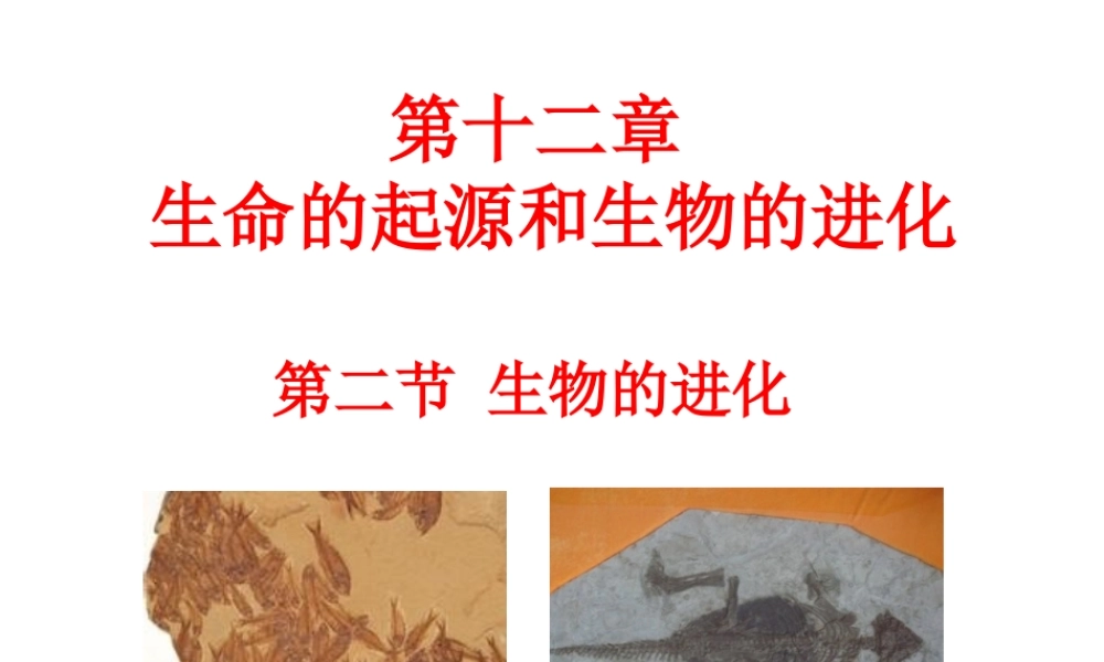 八年级生物上册 第十二章 第二节 生物的进化课件 （新版）北京版-北京级上册生物课件
