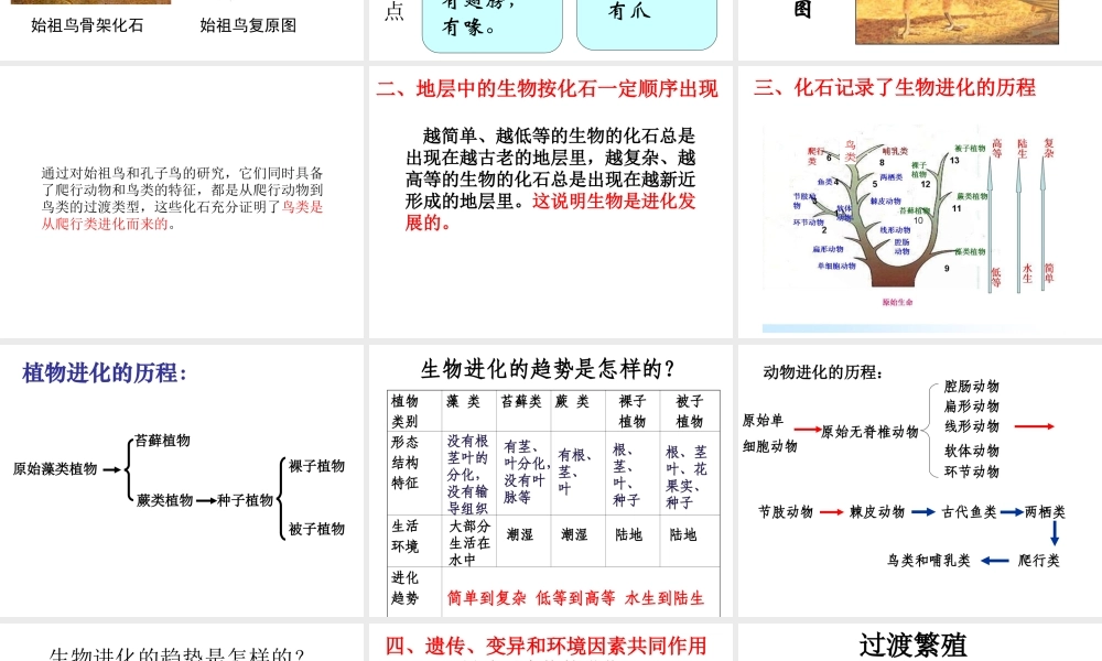 八年级生物上册 第十二章 第二节 生物的进化课件 （新版）北京版-北京级上册生物课件