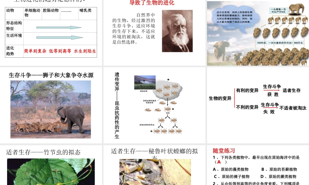 八年级生物上册 第十二章 第二节 生物的进化课件 （新版）北京版-北京级上册生物课件