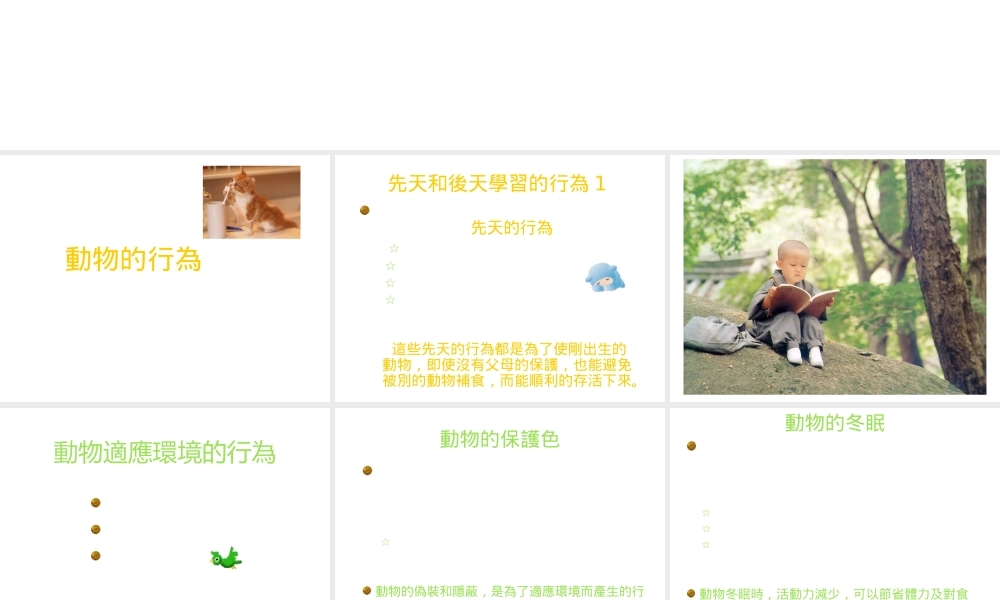 八年级生物上册《动物的行为》课件1 北师大版