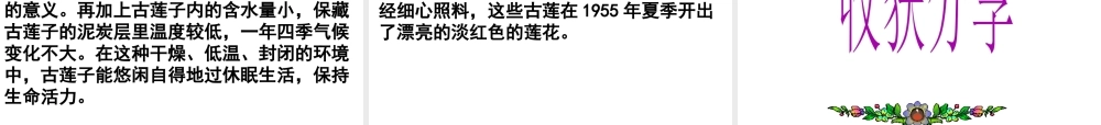 八年级生物上册 第四单元 第一章 第四节 种子的萌发课件（2）（新版）济南版-（新版）济南级上册生物课件