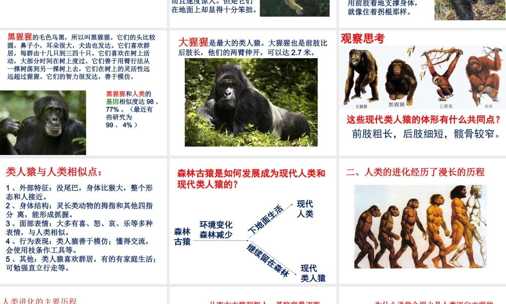 八年级生物上册 第十二章 第三节 人类的起源与进化课件 （新版）北京版-北京版初中八年级上册生物课件