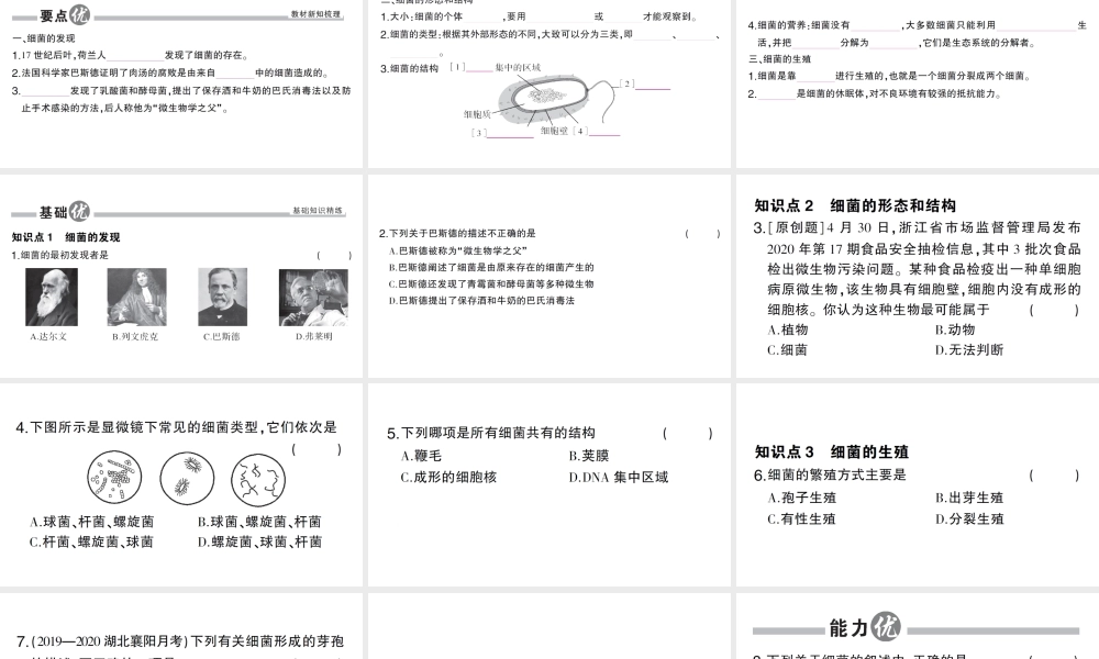 八年级生物上册 第五单元 第四章 第二节 细菌作业课件 （新版）新人教版-（新版）新人教级上册生物课件