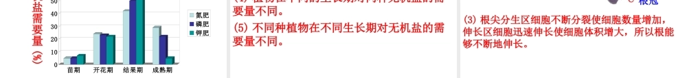 八年级生物上册 第四单元 第一章 第五节 根的结构与功能课件 （新版）济南版-（新版）济南版初中八年级上册生物课件