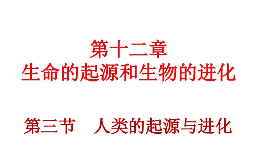 八年级生物上册 第十二章 第三节 人类的起源与进化课件 （新版）北京版-北京级上册生物课件