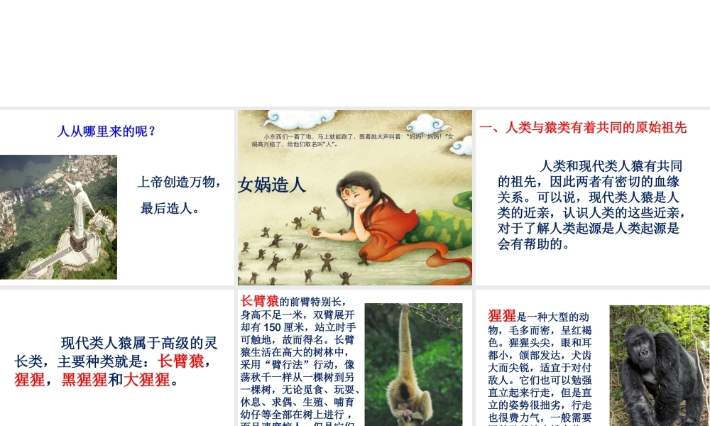 八年级生物上册 第十二章 第三节 人类的起源与进化课件 （新版）北京版-北京级上册生物课件