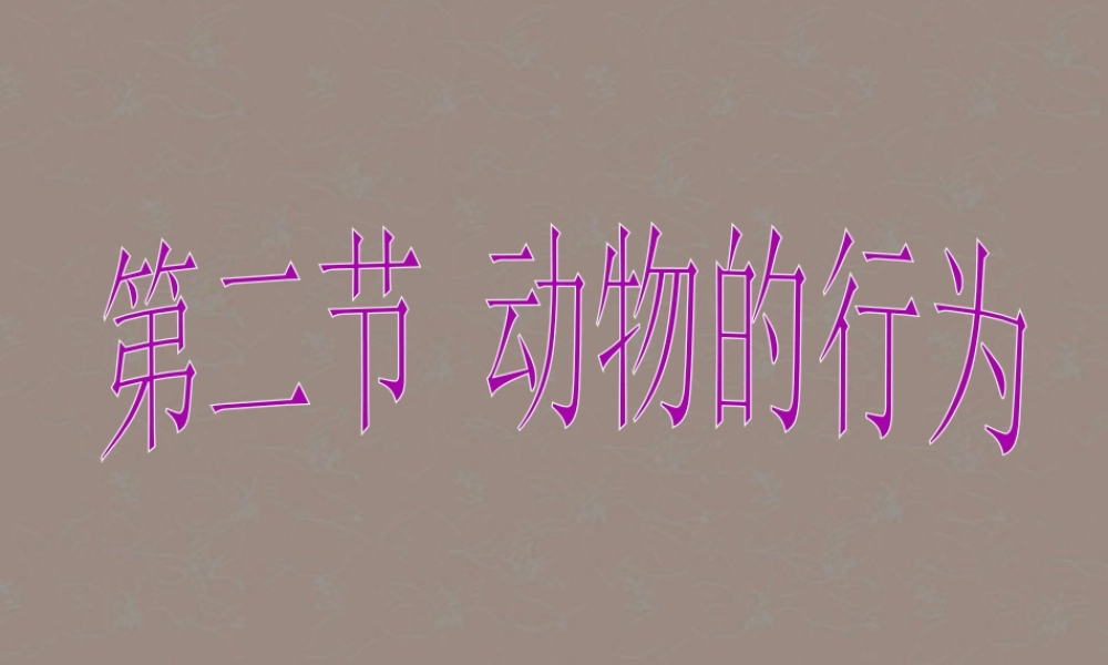 八年级生物上册《动物的行为》课件1 苏科版