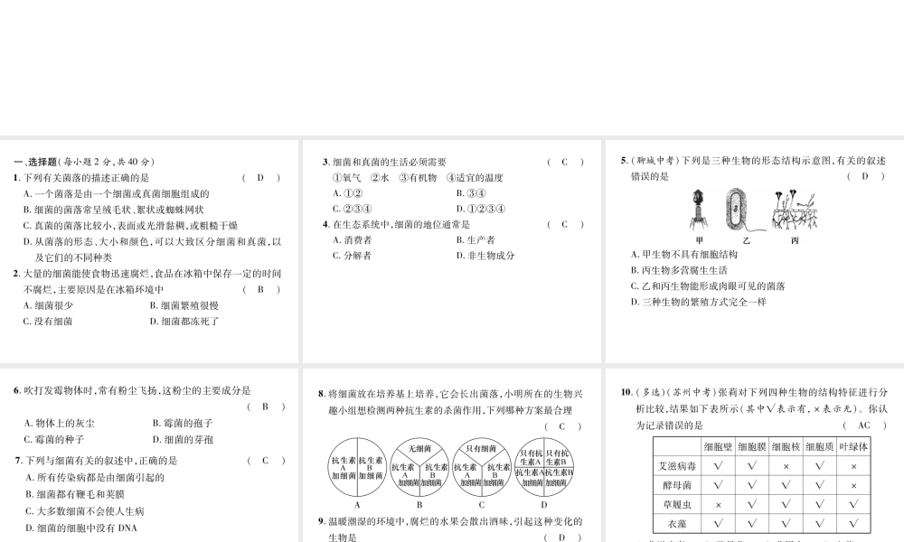 八年级生物上册 第五单元 第四、五章达标测试课件 （新版）新人教版-（新版）新人教级上册生物课件