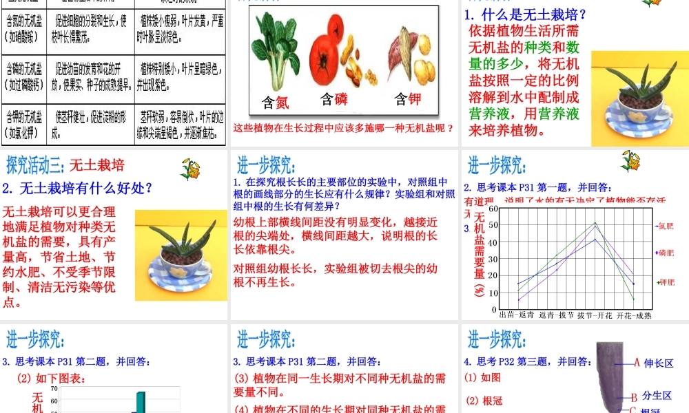 八年级生物上册 第四单元 第一章 第五节 根的结构与功能课件 （新版）济南版-（新版）济南级上册生物课件