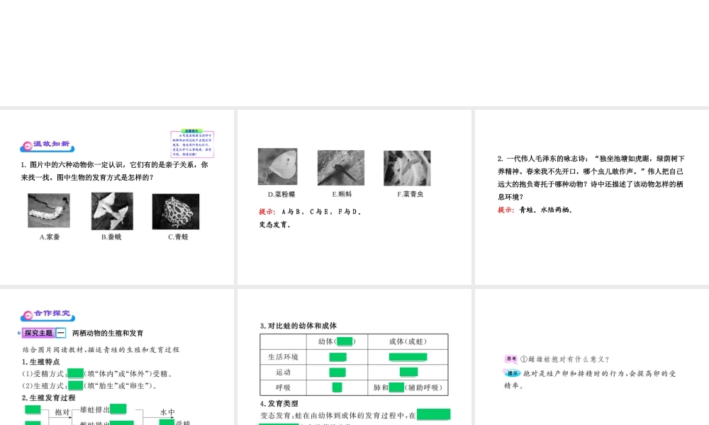 八年级生物上册 第十九章 第二节 动物的生殖和发育（二）课件 北师大版