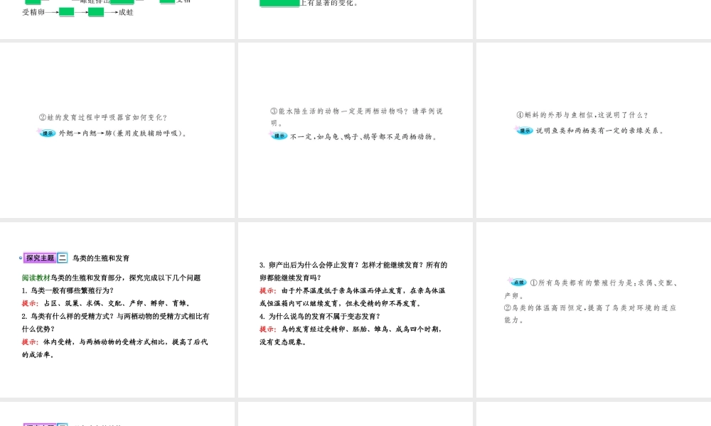 八年级生物上册 第十九章 第二节 动物的生殖和发育（二）课件 北师大版