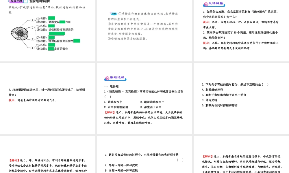 八年级生物上册 第十九章 第二节 动物的生殖和发育（二）课件 北师大版