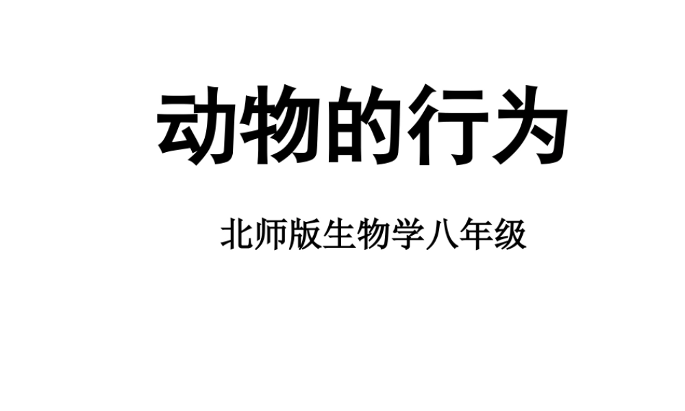八年级生物上册《动物的行为》课件2 北师大版