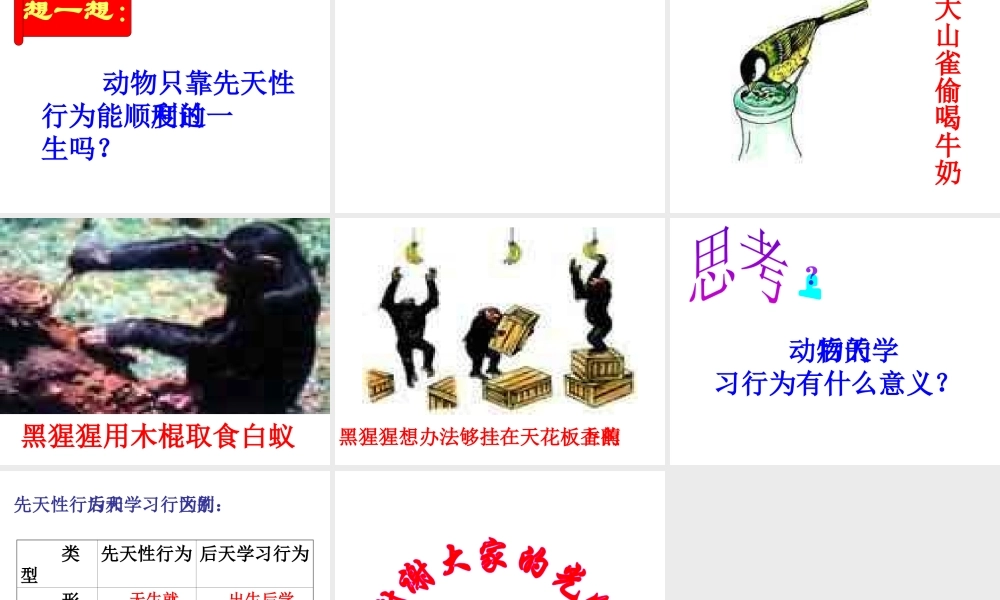 八年级生物上册《动物的行为》课件2 北师大版