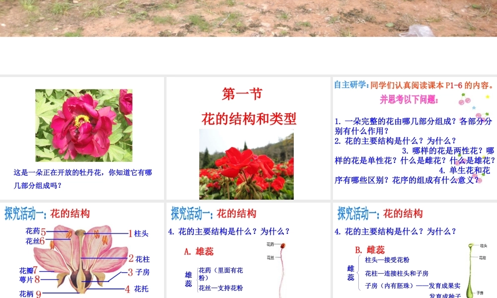 八年级生物上册 第四单元 第一章 第一节 花的结构和类型课件 （新版）济南版-（新版）济南版初中八年级上册生物课件