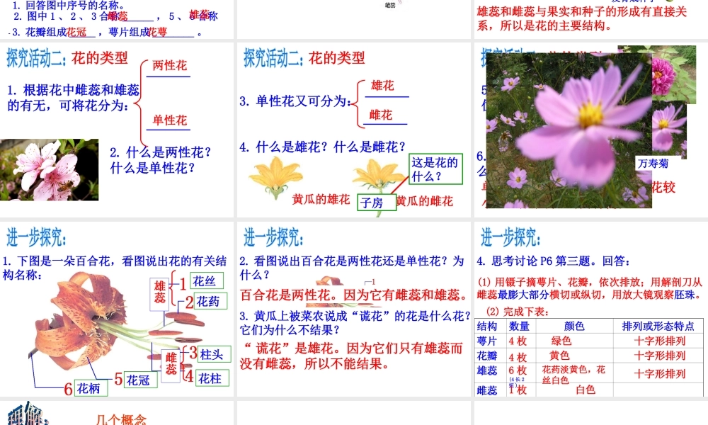 八年级生物上册 第四单元 第一章 第一节 花的结构和类型课件 （新版）济南版-（新版）济南版初中八年级上册生物课件