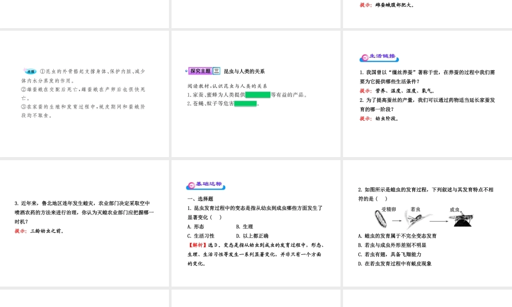 八年级生物上册 第十九章 第二节 动物的生殖和发育（一）课件 北师大版
