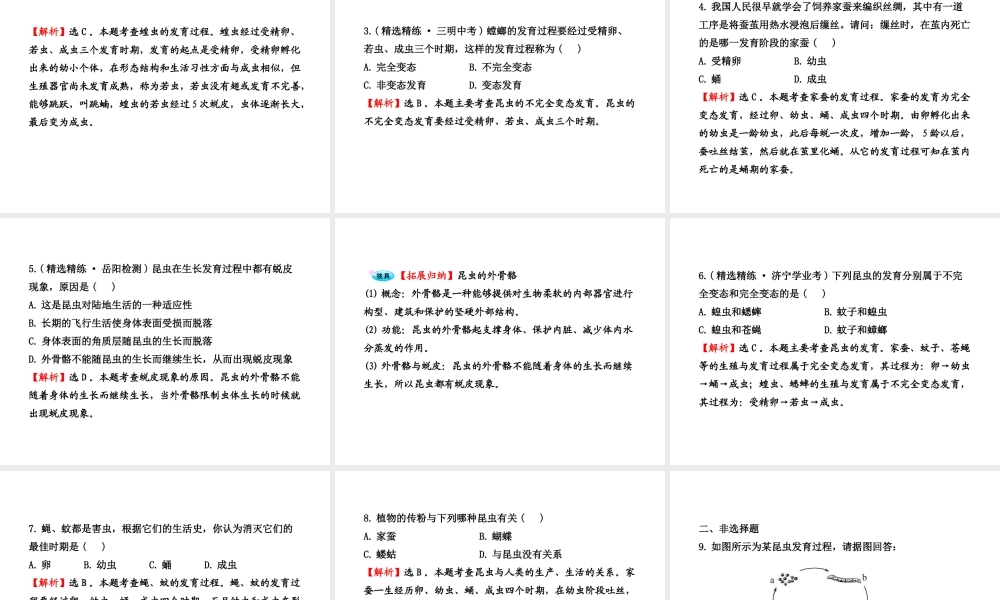 八年级生物上册 第十九章 第二节 动物的生殖和发育（一）课件 北师大版