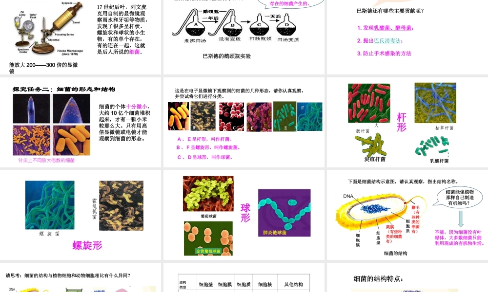 八年级生物上册 第五单元 第四章 第二节《细菌》课件 （新版）新人教版-（新版）新人教版初中八年级上册生物课件