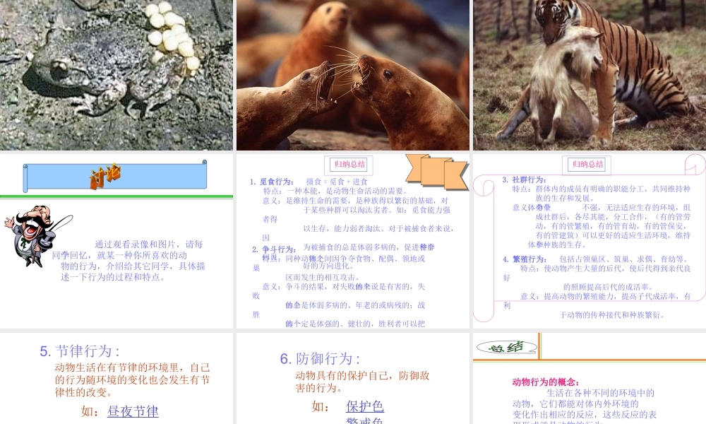 八年级生物上册《动物的行为》课件2 苏科版