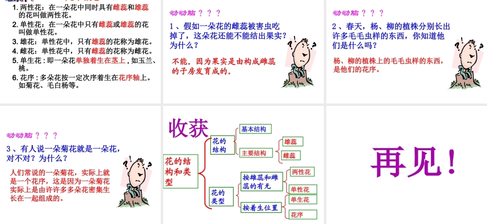 八年级生物上册 第四单元 第一章 第一节 花的结构和类型课件 （新版）济南版-（新版）济南级上册生物课件