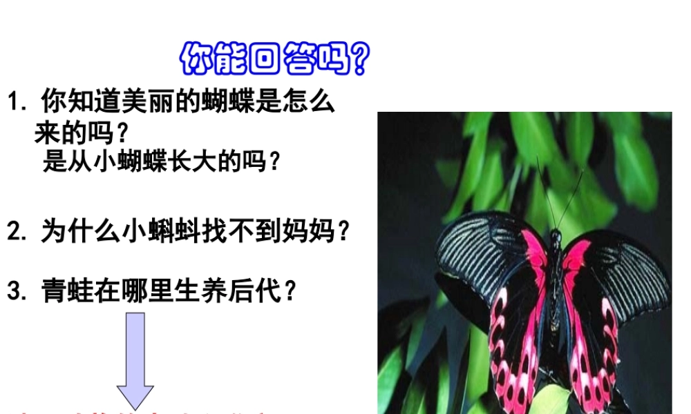 八年级生物上册 第十九章 第二节 昆虫的生殖和发育课件 北师大版