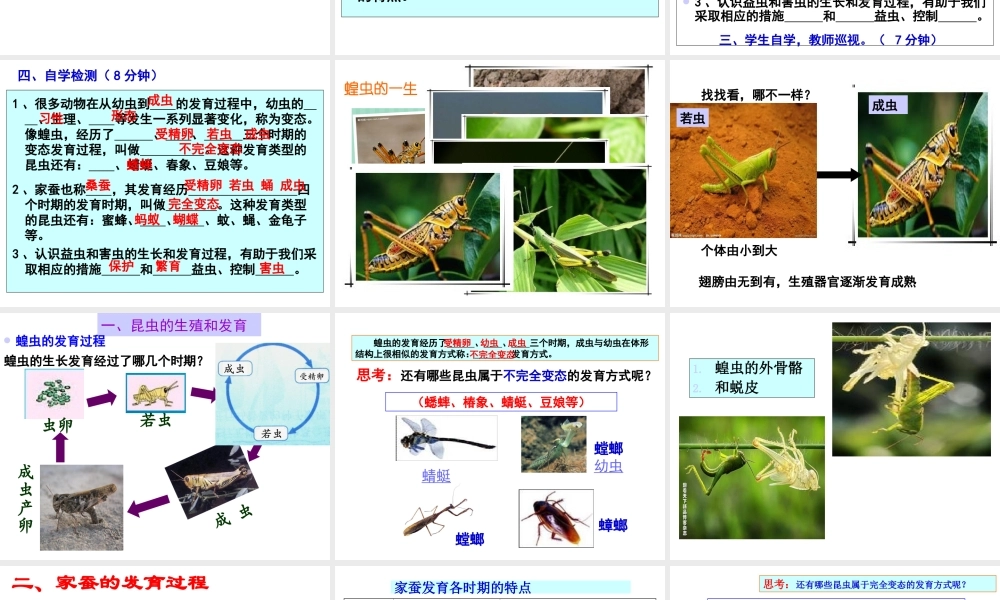 八年级生物上册 第十九章 第二节 昆虫的生殖和发育课件 北师大版