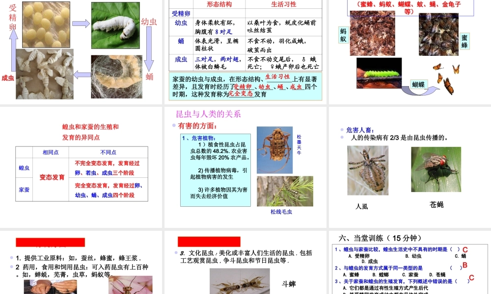 八年级生物上册 第十九章 第二节 昆虫的生殖和发育课件 北师大版