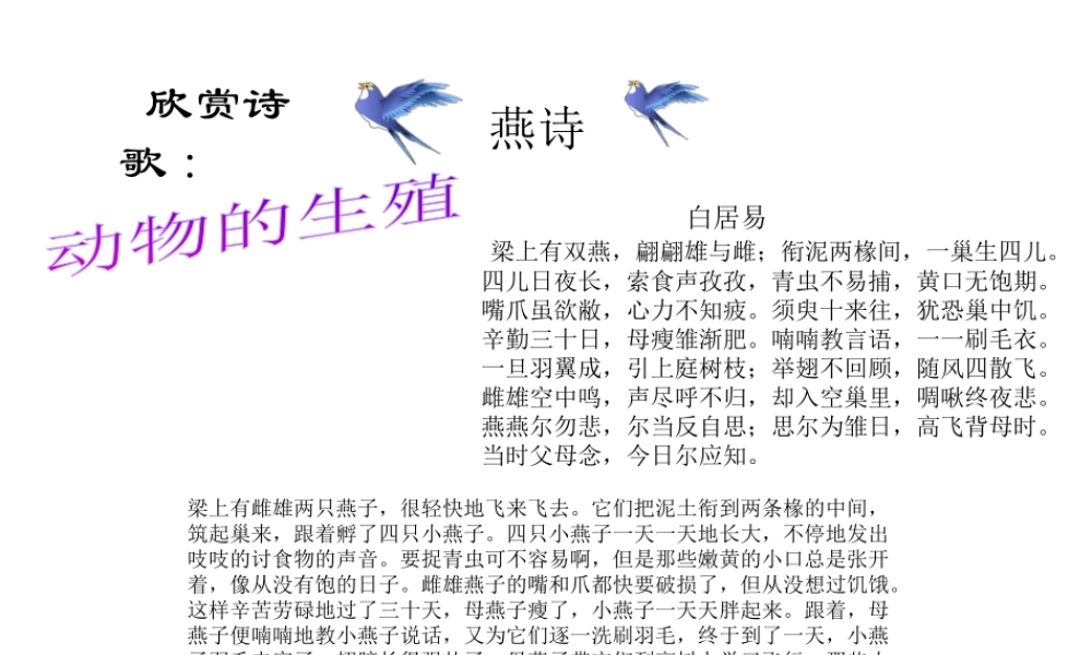 八年级生物上册《动物的生殖》课件1 苏科版