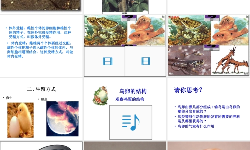 八年级生物上册《动物的生殖》课件1 苏科版