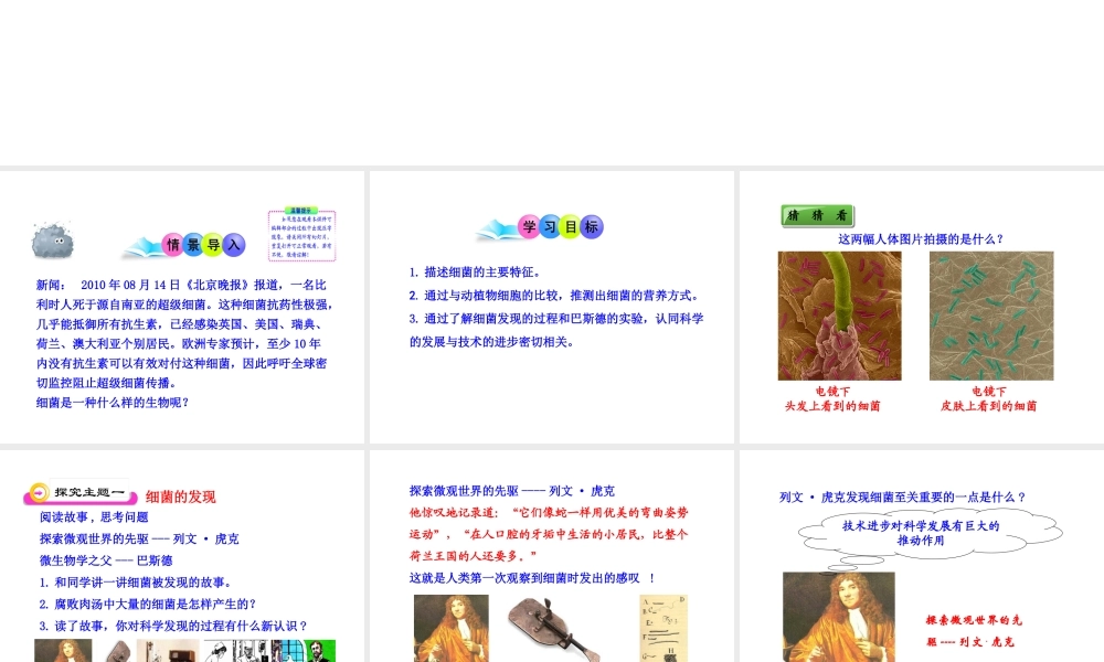 八年级生物上册 第五单元 第四章 第二节《细菌》课件 新人教版