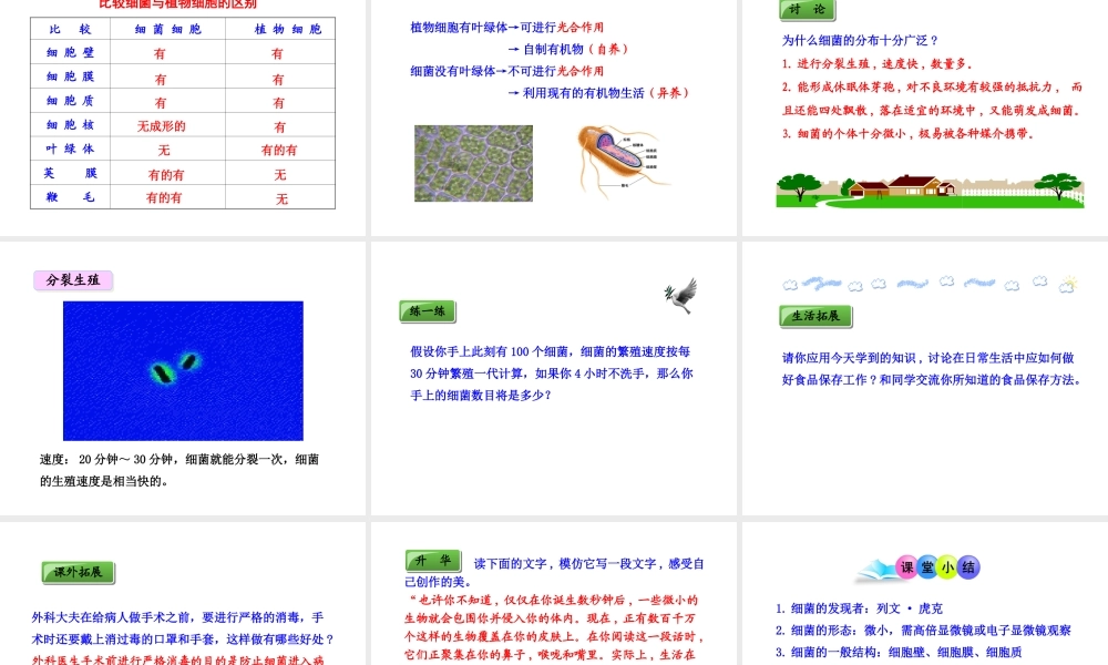 八年级生物上册 第五单元 第四章 第二节《细菌》课件 新人教版