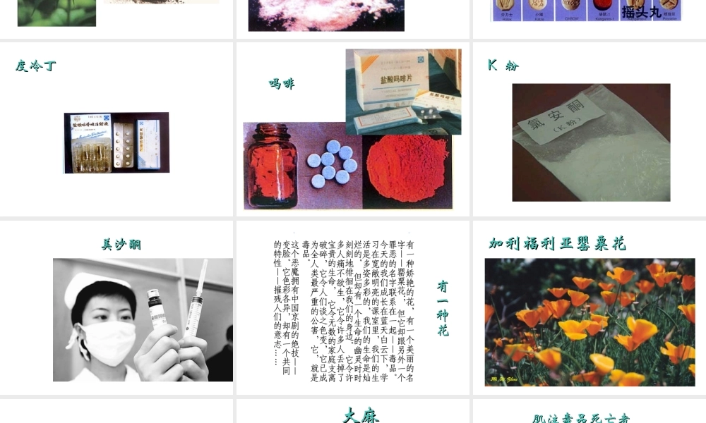 八年级生物上册 第十九章 第三节 关注健康课件 苏教版