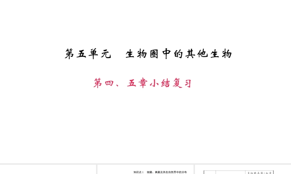 八年级生物上册 第五单元 第四、五章小结复习课件 （新版）新人教版-（新版）新人教版初中八年级上册生物课件