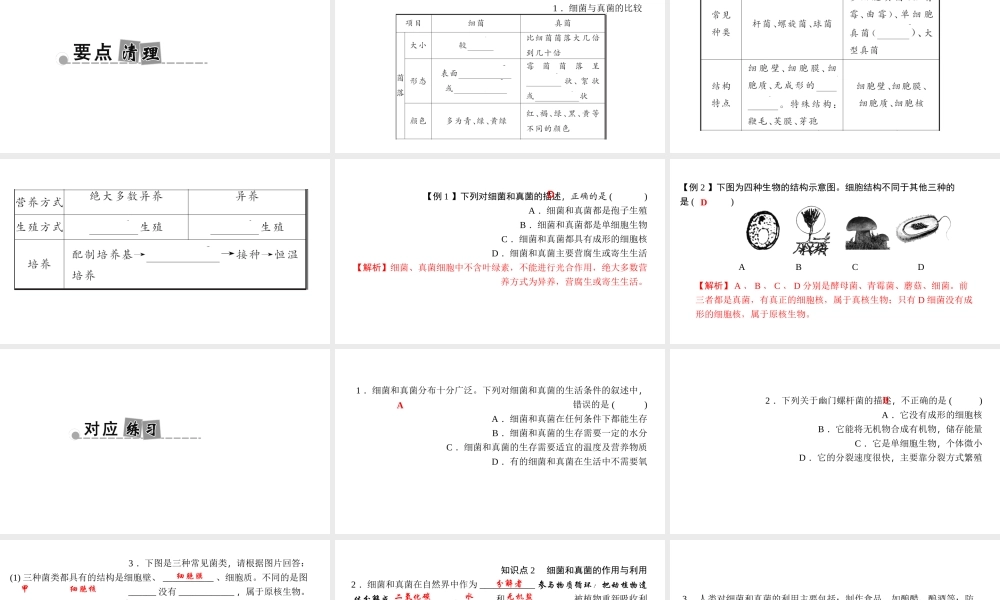 八年级生物上册 第五单元 第四、五章小结复习课件 （新版）新人教版-（新版）新人教版初中八年级上册生物课件