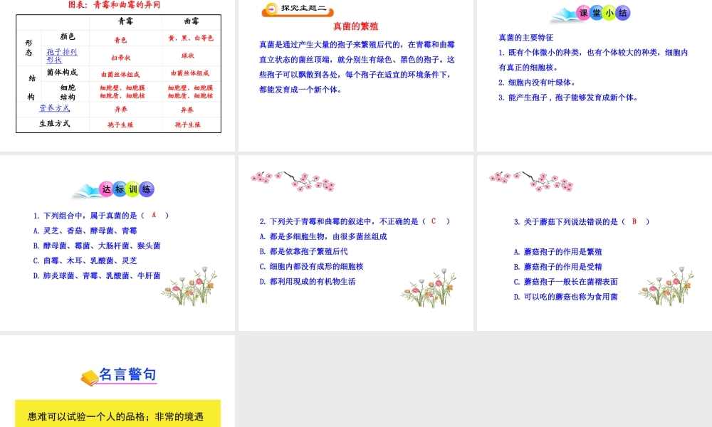八年级生物上册 第五单元 第四章 第三节《真菌》课件 新人教版
