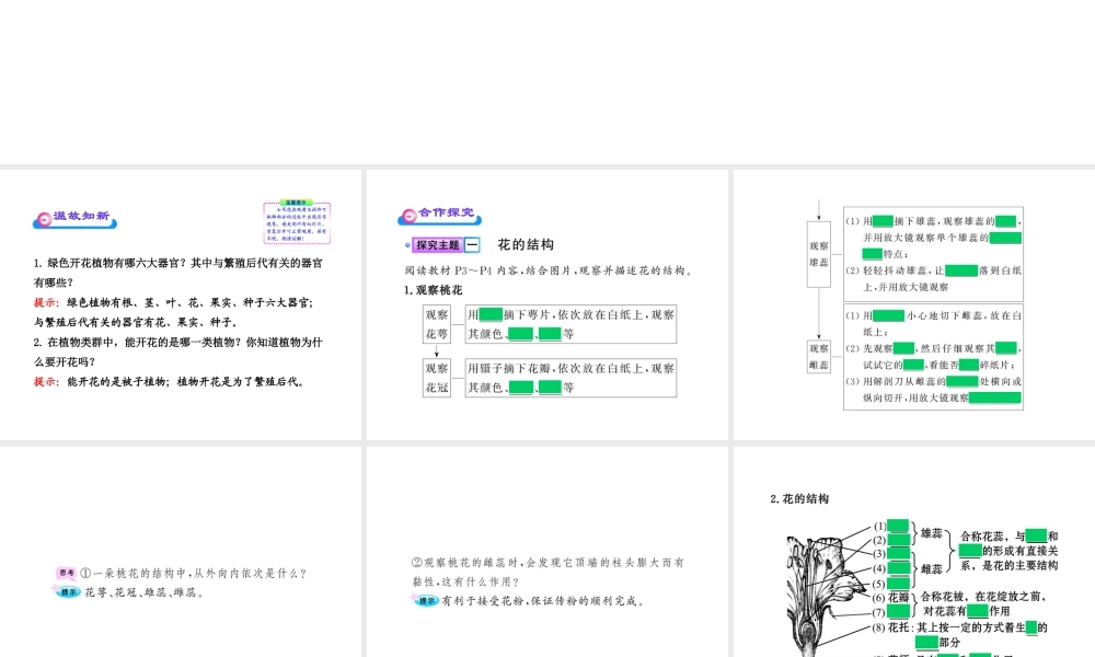 八年级生物上册 第四单元 第一章 第一节 花的结构和类型课件 济南版