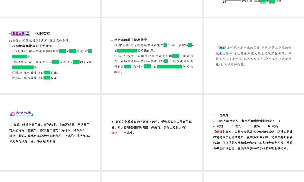 八年级生物上册 第四单元 第一章 第一节 花的结构和类型课件 济南版