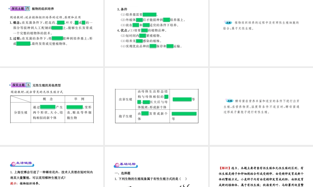 八年级生物上册 第十九章 第三节 其他生物的生殖课件 北师大版