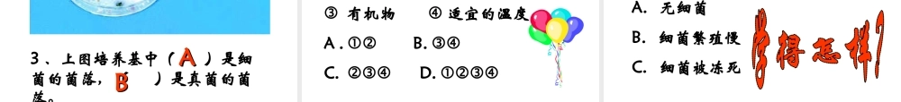 八年级生物上册 第五单元 第四章 第四节 细菌和真菌在自然界中的作用教学课件 （新版）新人教版-（新版）新人教版初中八年级上册生物课件
