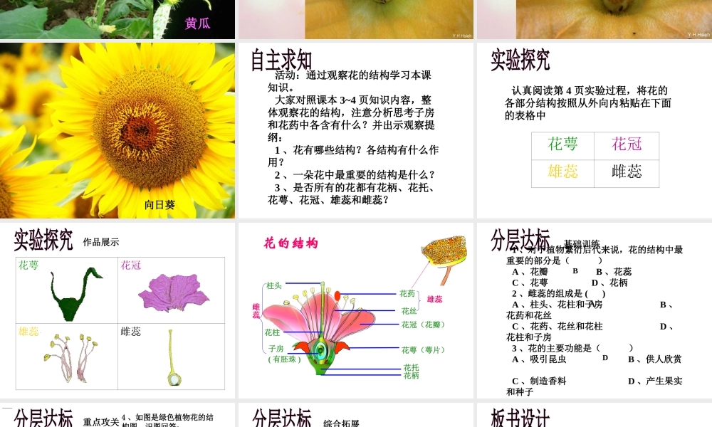 八年级生物上册 第四单元 第一章 第一节 花的结构和类型课件2 济南版