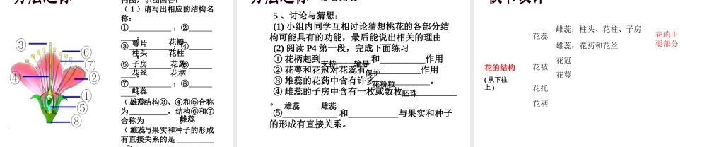 八年级生物上册 第四单元 第一章 第一节 花的结构和类型课件2 济南版