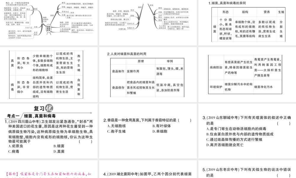 八年级生物上册 第五单元 第四、五章总结训练课件 （新版）新人教版-（新版）新人教版初中八年级上册生物课件
