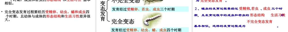 八年级生物上册《动物的生殖和发育》课件2 北师大版