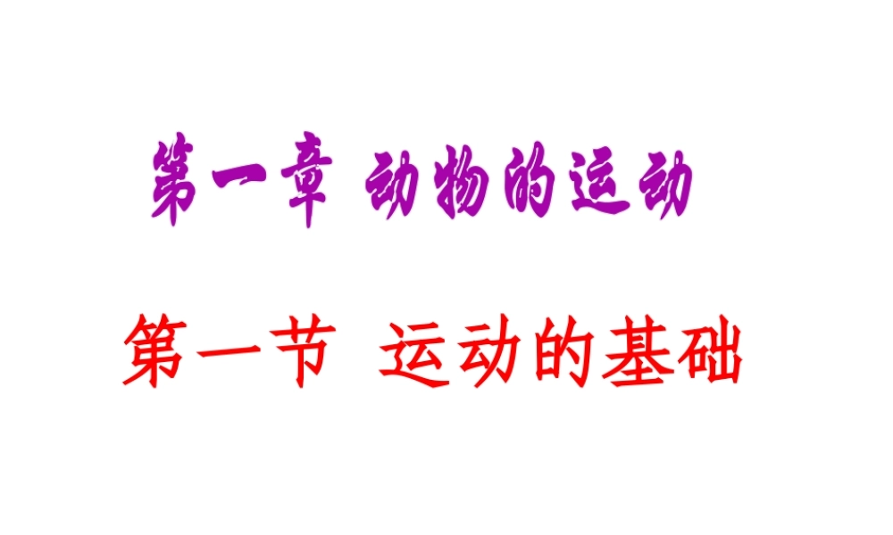 八年级生物上册 第四单元 第一章 第一节 运动的基础课件 冀教版