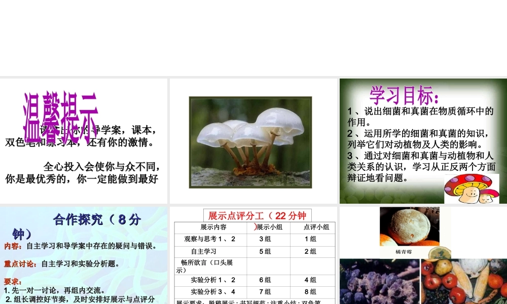 八年级生物上册 第五单元 第四章 第四节 细菌和真菌在自然界中的作用教学课件 （新版）新人教版-（新版）新人教级上册生物课件